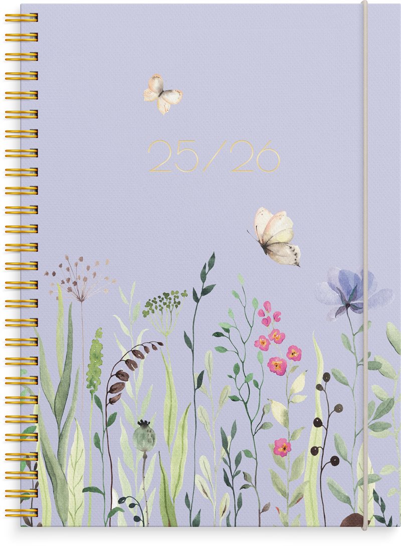 Kalender 25/26 Study A5 Story Äng