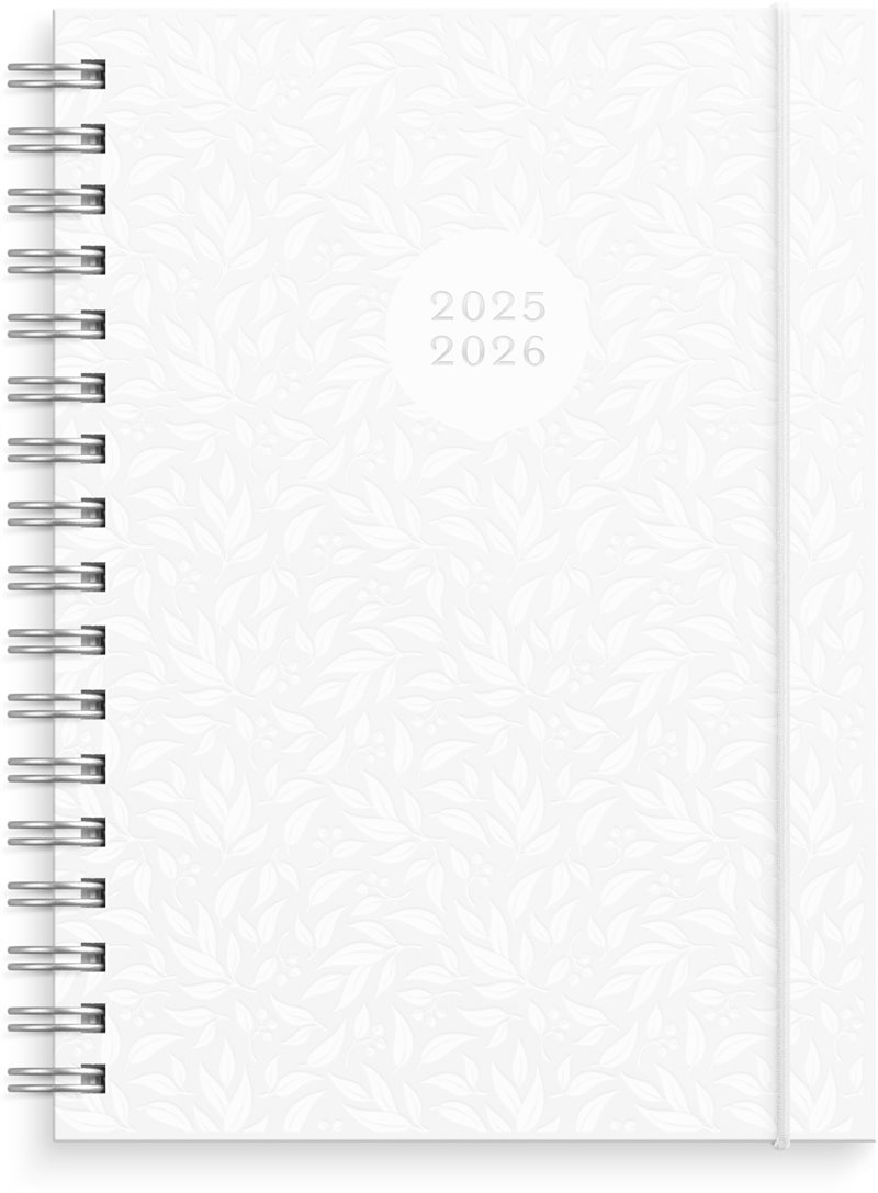 Kalender 25/26 Senator A6 Star