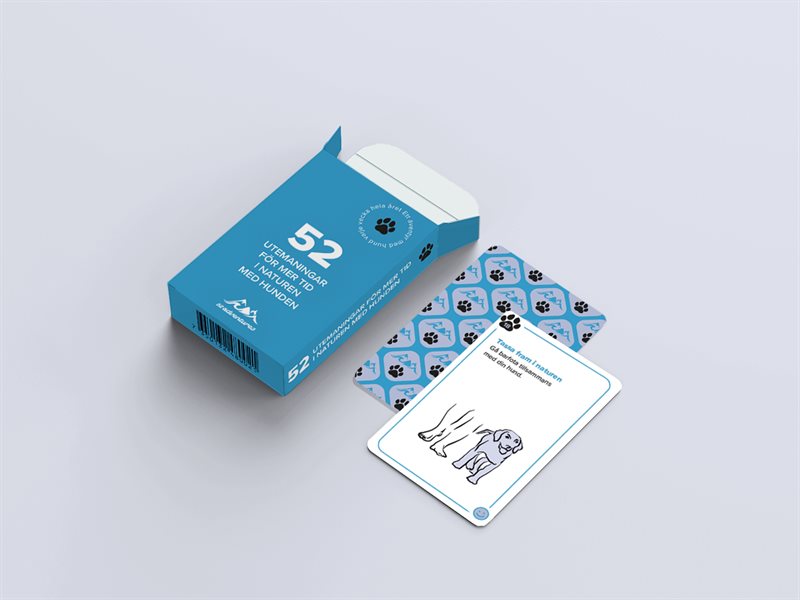 52 utemaningar med hund