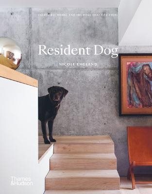 Resident Dog