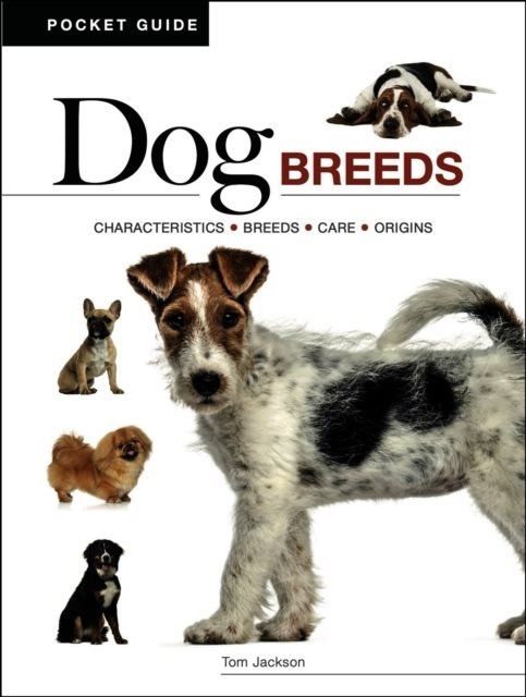 Dog Breeds