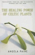 Healing power of celtic plants - healing herbs of the ancient celts and the
