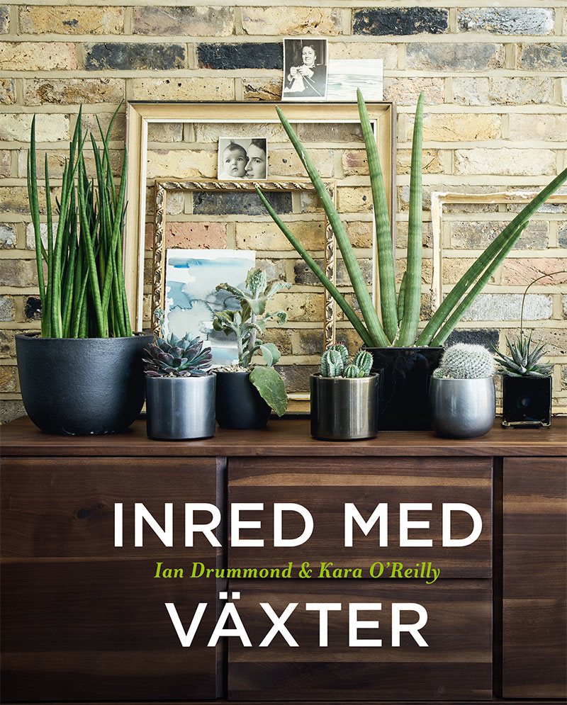 Inred med växter
