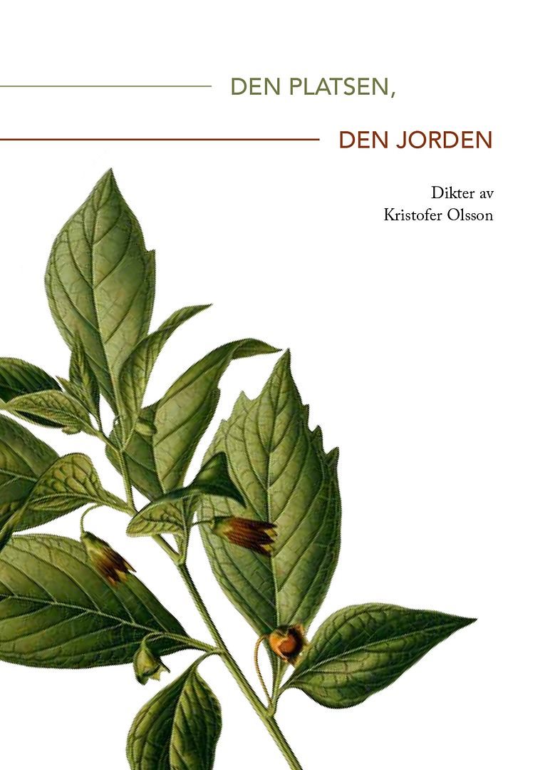 Den platsen, den jorden