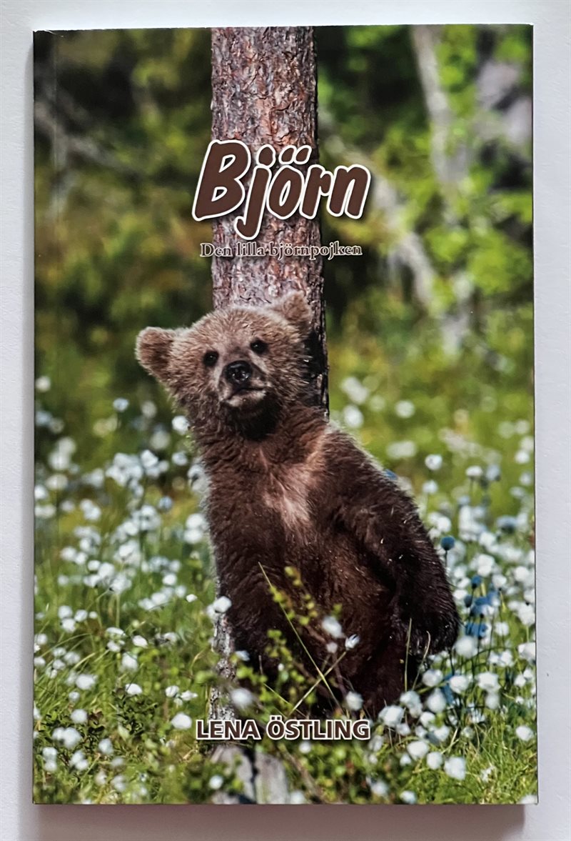 Björn, den lilla björnpojken