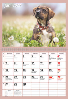 Väggkalender - Hundar FSC