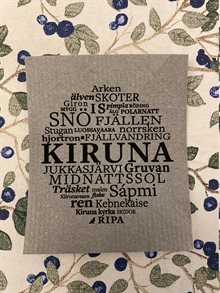 Disktrasa Kiruna grå